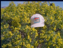 Seager Hat The Trip Hemp Snapback 13 Seager Hat The Trip Hemp Snapback -Melin Sales Store 230125 VALASEK 007896 1500x f3805523 f364 48fd bb42 b92d251cc53f